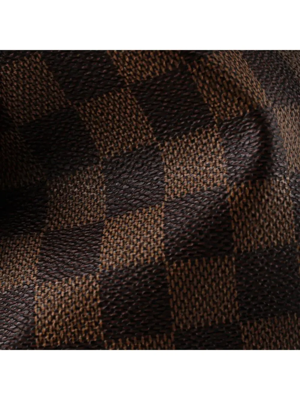 Louis Vuitton introducing louis
